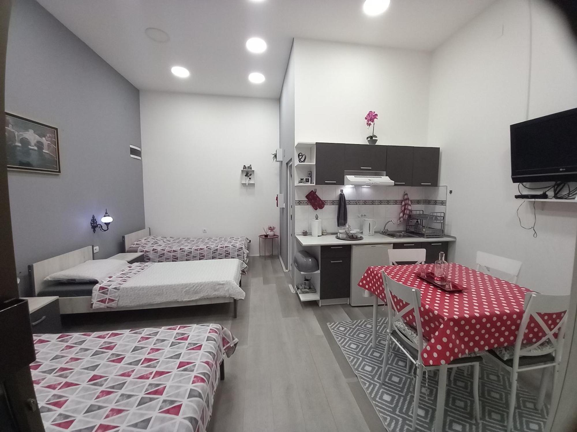 Apartman Stari Most - Old Bridge Bečej Chambre photo